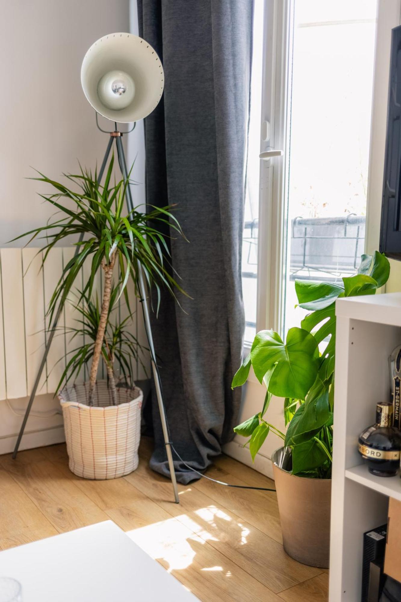 Appartement Dana's Parisian Loft